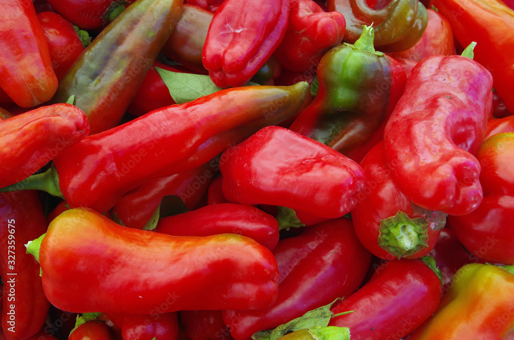 Closeup of long colorful red peppers piled for market