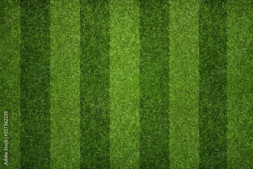  Green Grass  Background © Guodong