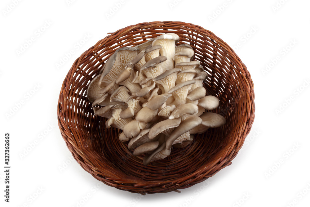 Oyster mushrooms on wicker plate