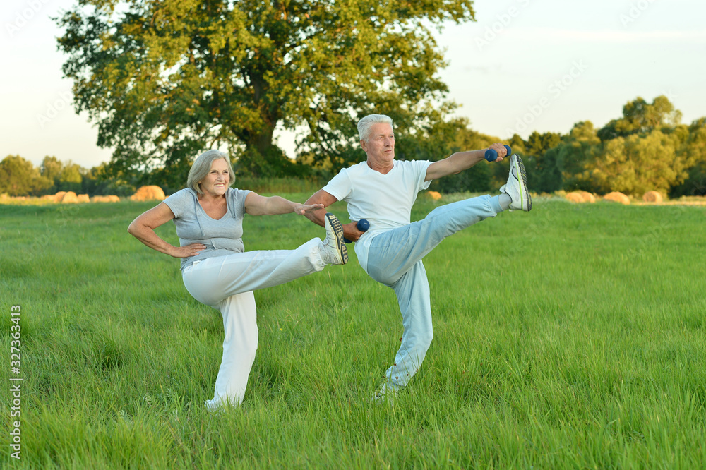 Portrait of fit senior couple exercising in park Portrait of fit senior couple exercising in park