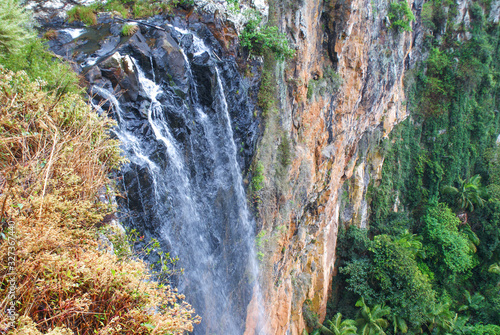 Rainbow Falls and Rain forest at the Springbrook National Park Queensland Australia 