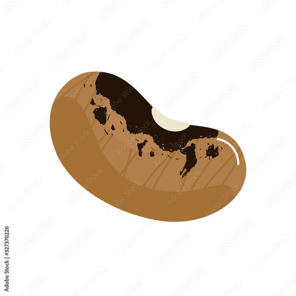 bean seed organic isolated icon vector illustration design bean seed organic isolated icon vector illustration design