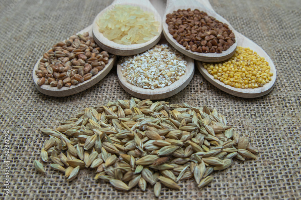 Obraz premium Composition of wooden spoons on which grains and cereals are located. Wheat, rice, buckwheat, millet, oats.