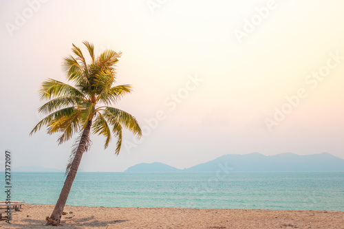 Fototapeta Naklejka Na Ścianę i Meble -  coconut tree by the sea on a deserted beach