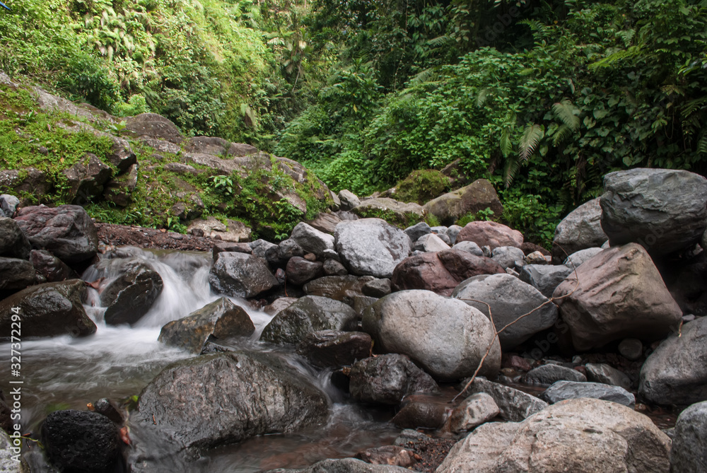 View of river in the rainforest, bogor Indonesia View of river in the rainforest, bogor Indonesia