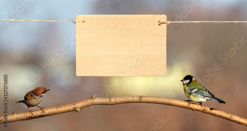 Photography two birds perched on a branch and look at the banner an empty poster hanging on