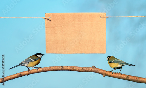Photography two birds Tits flew to the branch and look at the banner an empty poster hanging