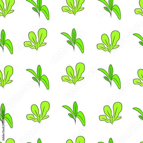 Sprouts seamless pattern