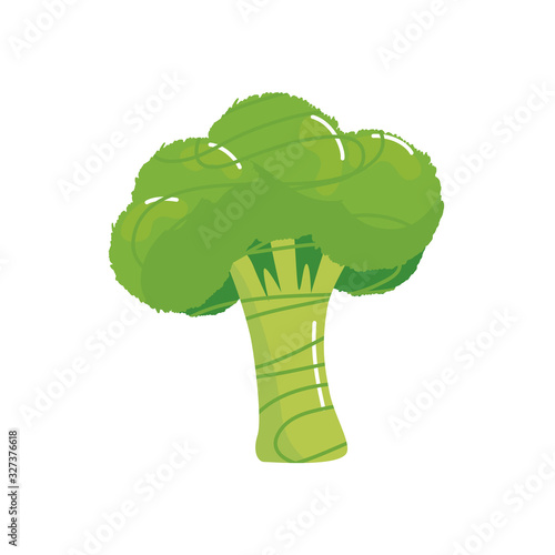 fresh and healthy broccoli isolated icon vector illustration design