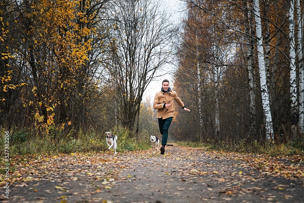 Fototapeta premium Cheerful guy running with dogs in nature