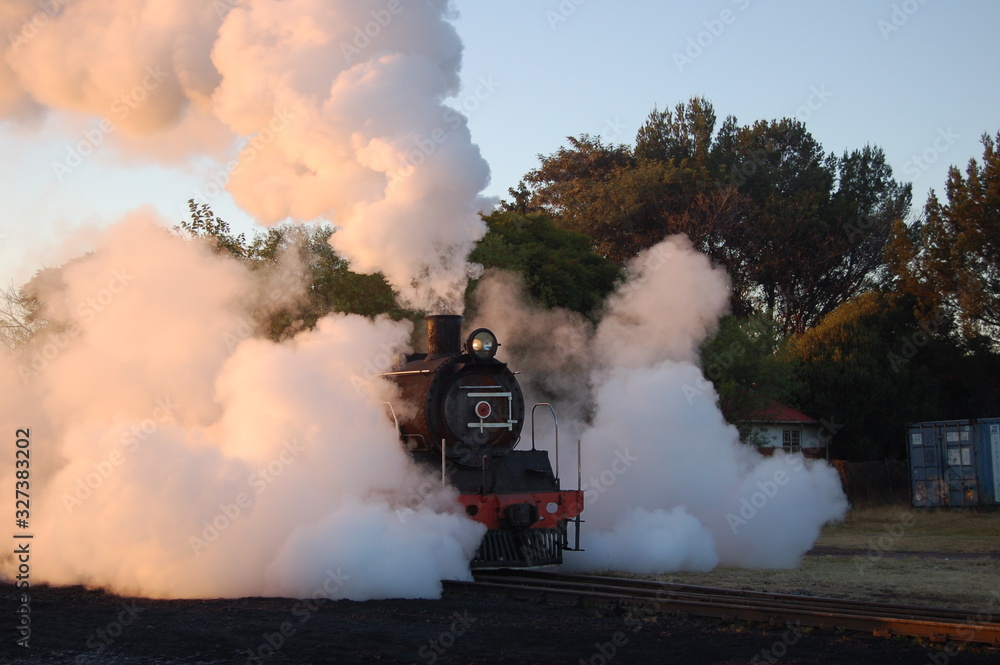 Obraz premium steam train