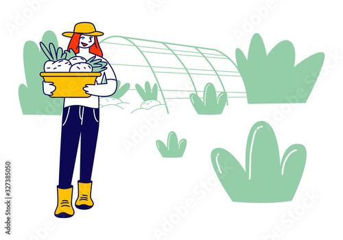 Girl Farmer or Gardener in Working Robe with Basket of Ripe Healthy Vegetables from Greenhouse, Farm Natural Product, Organic Food Gardening, Farmland Cartoon Flat Vector Illustration, Line Art