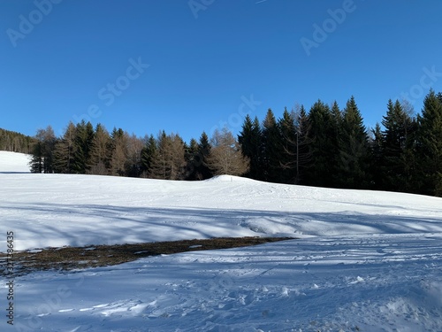 winter landscape with road and trees