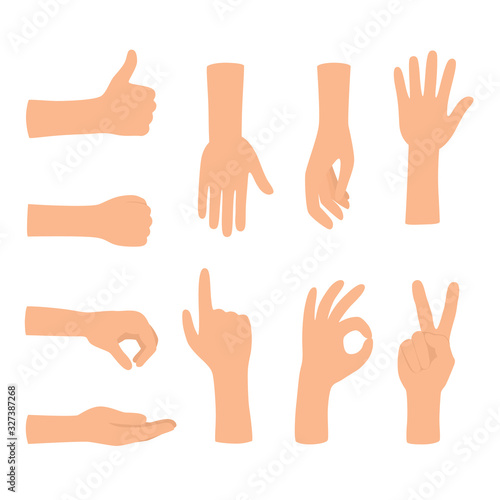 Hands gestures isolated on white background. Colored hand gesture set