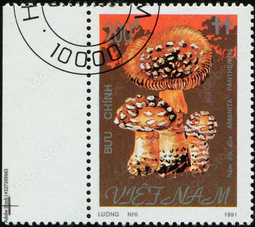 VIETNAM - CIRCA 1991: stamp 200 Vietnamese dong printed by Socialist Republic of Vietnam, shows mushrooms Amanitas pantherina, circa 1991 photo