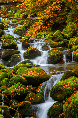 Small waterfall in deep green forest