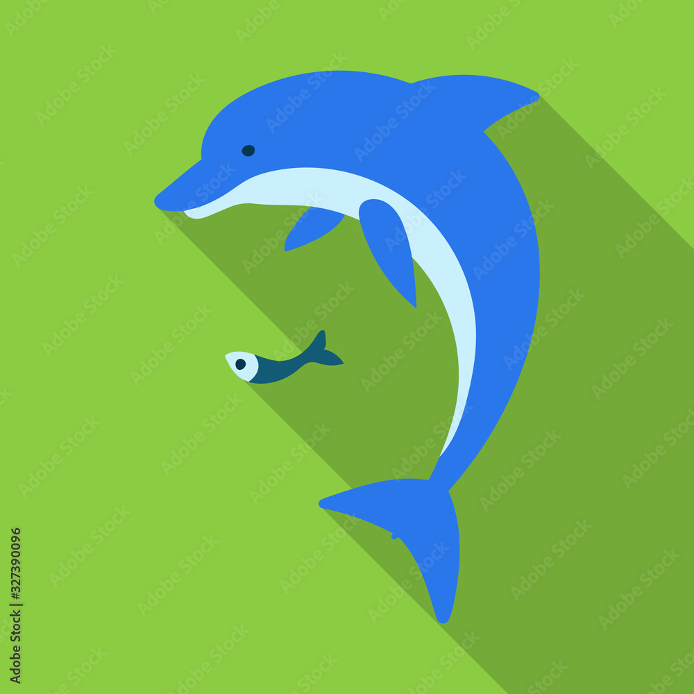 Dolphin vector icon.Flat vector icon isolated on white background dolphin . Dolphin vector icon.Flat vector icon isolated on white background dolphin .