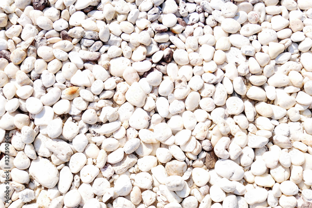 white stone background. shiny pebble beach white stone background. shiny pebble beach