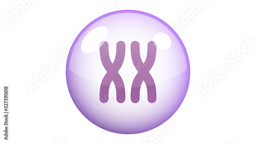 X chromosome icon. Feminism vector elements.  Feminism banner design