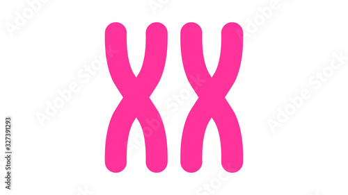 X chromosome icon. Feminism vector elements.  Feminism banner design