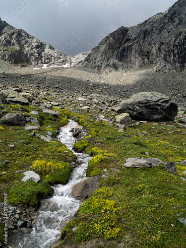 small sparkling mountain creek inmidst of alpine pasture, rocky mountains in the background photo