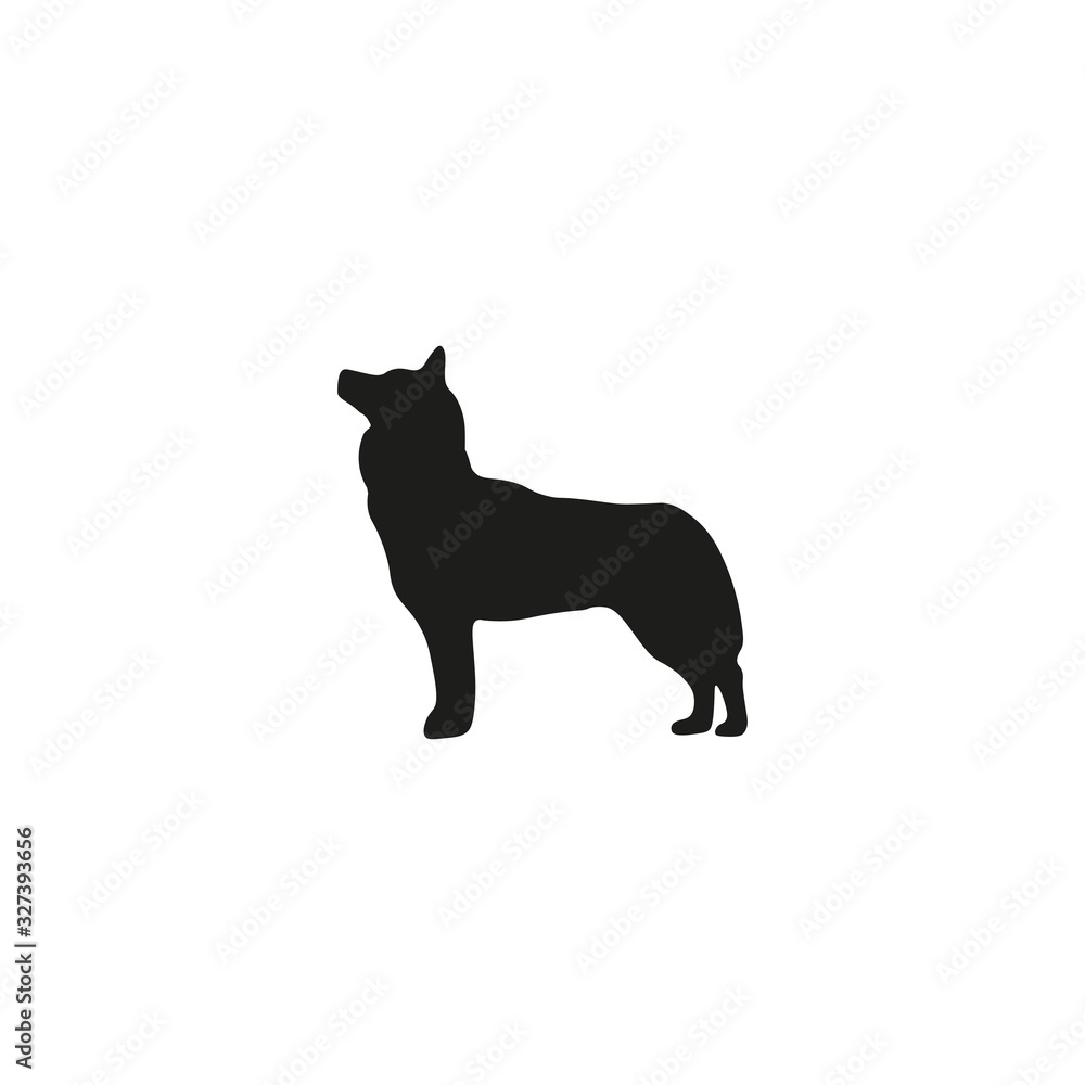 Fototapeta premium wolf