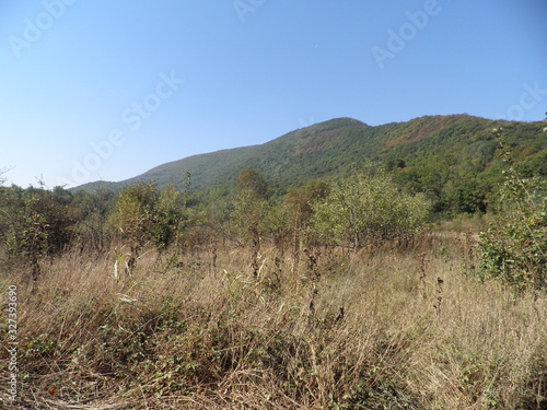 Pshada landscape