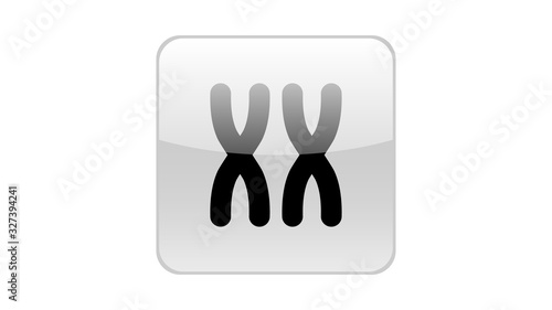 X chromosome icon. Feminism vector elements.  Feminism banner design