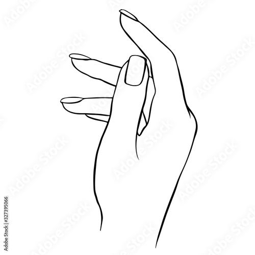 Vector woman hand outline illustration isolated on wite.