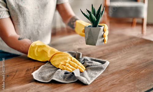 Beautiful young woman makes cleaning the house. Girl rubs dust. Woman in protective gloves is smiling and wiping dust using a duster while cleaning her house. photo