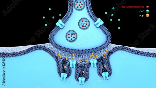 Blue synapse and neuron on a blue background. 3d rendering,scientific function of a synapse or neuronal connection with a nerve cell, neurons, inside brain