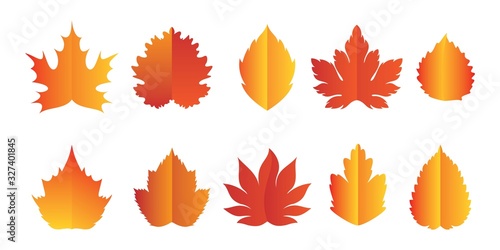 autumn leaves set, isolated on white background. Colorful autumn leaf. vector illustration.