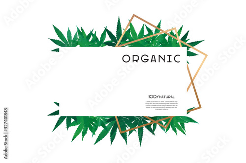 Cannabis green leaves frame on whie background