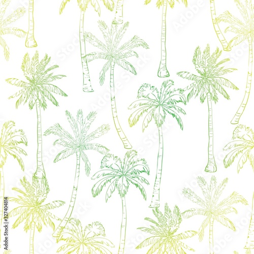 Vector seamless pattern with palm trees