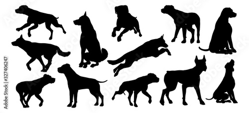 A set of detailed animal silhouettes of a pet dog