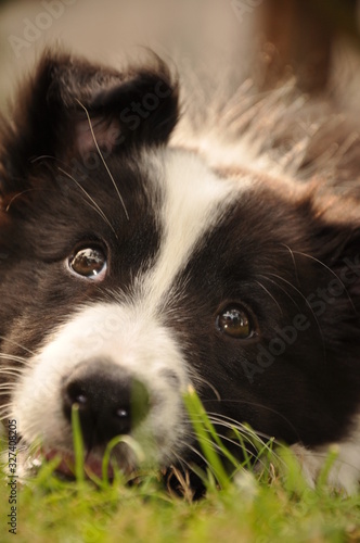 deg