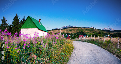 Nice rural house with pink flowers in dusk