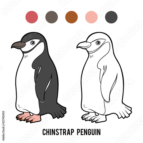 Coloring book, Chinstrap penguin photo