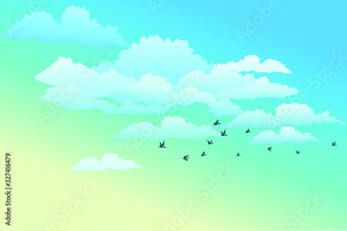 White and transparent clouds on the blue sky with flying birds