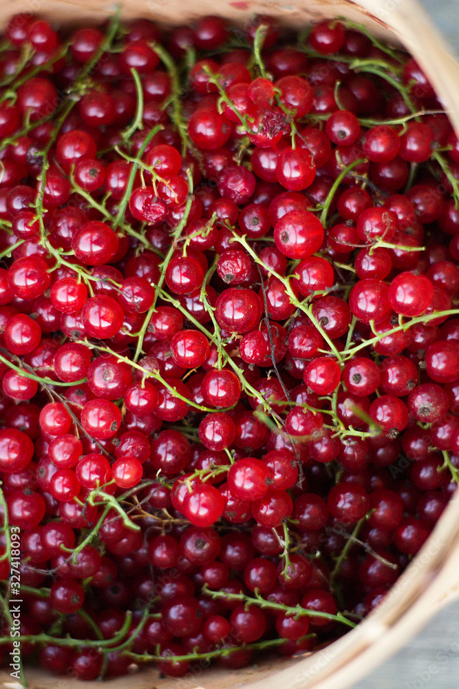 closeup summertimes berries red currant in basket of birch bark