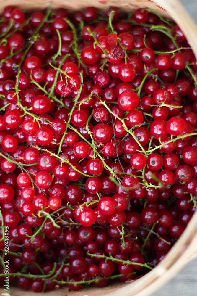 closeup summertimes berries red currant in basket of birch bark closeup summertimes berries red currant in basket of birch bark