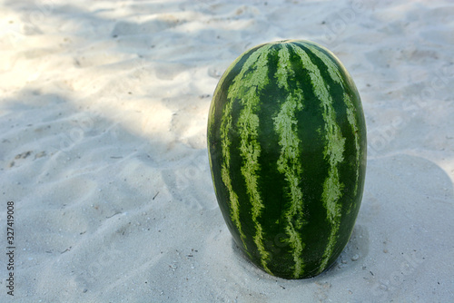 a large watermelon on the sand in the vertical position photo