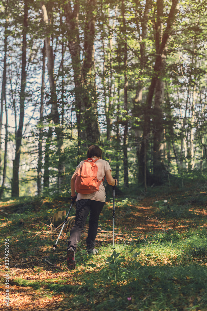 Female hiker is trekking on footpath in forest Female hiker is trekking on footpath in forest