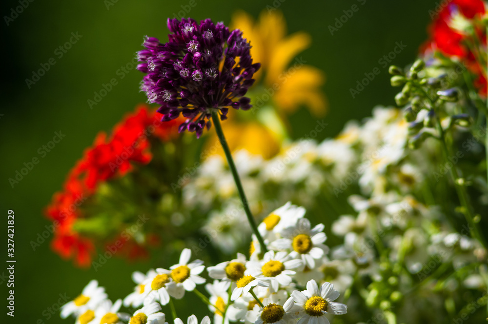 Obraz premium a bouquet of bright spring flowers of various types