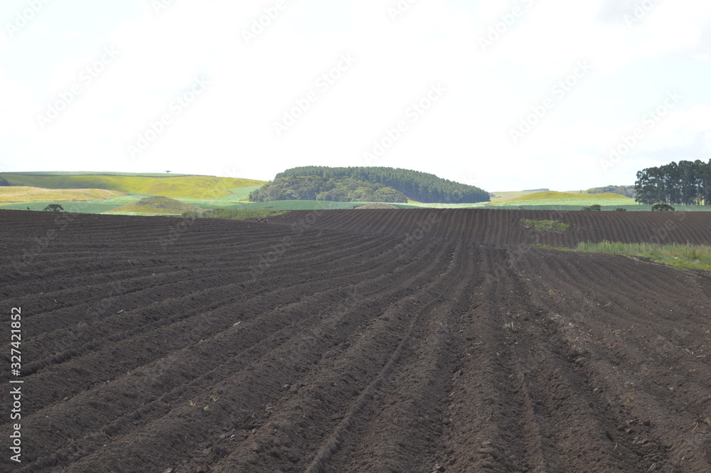 Ready dark soil prepared in rows for planting