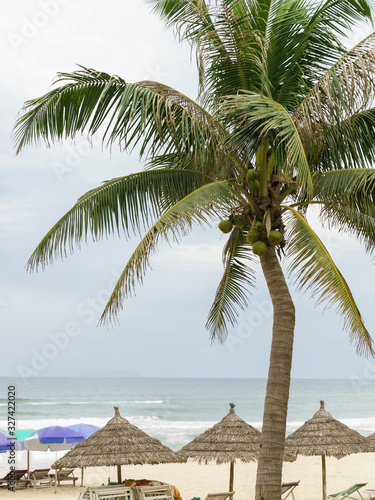 Palms and sunbeds at China Beach in Da Nang