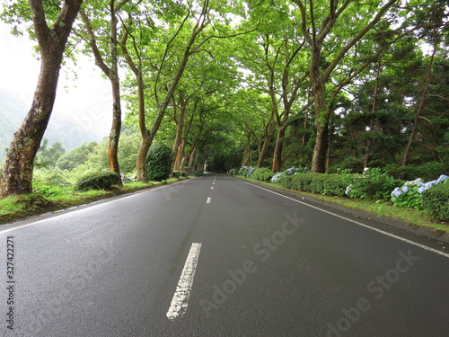 Wet road - Azores, Portugal © Hugo