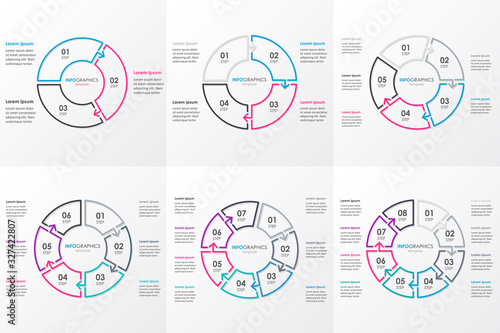 Vector infographic template