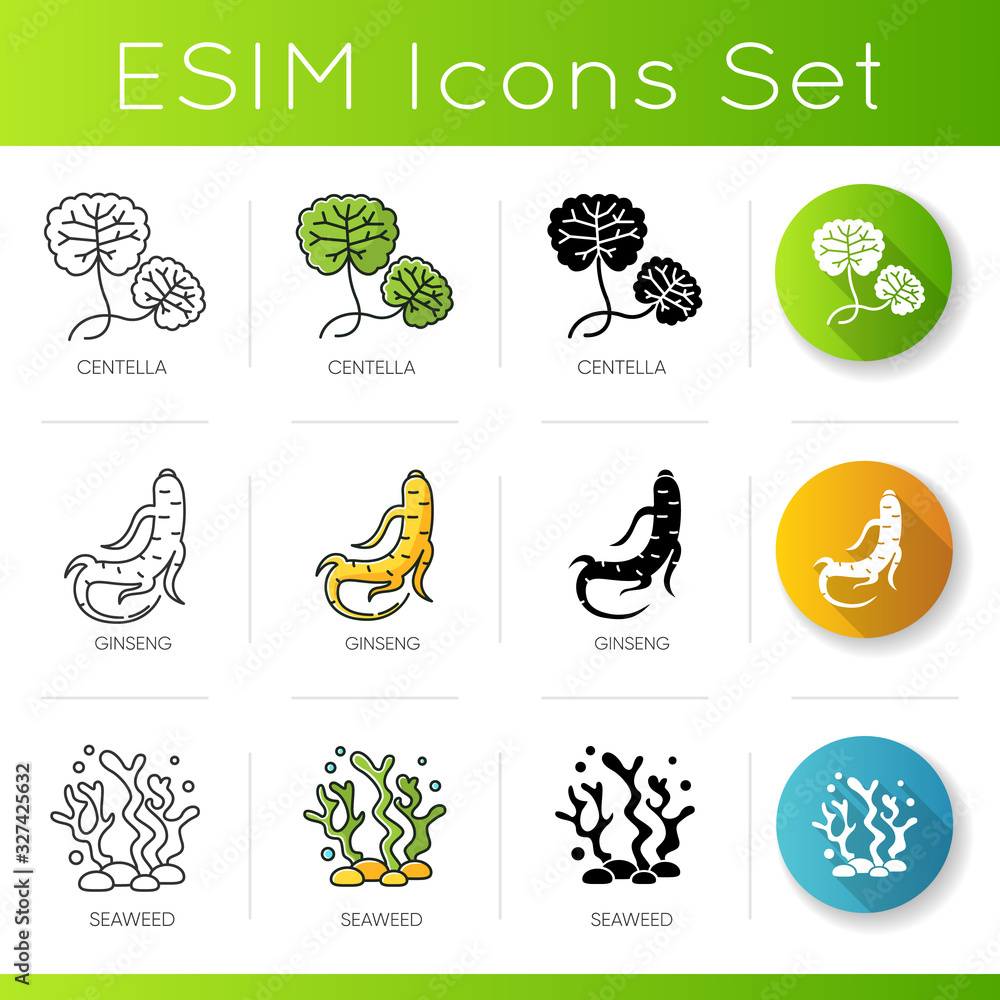 Cosmetic ingredient icons set. Centella leaves. Ginseng root. Seaweed component in skincare products. Dermatology, cosmetology. Linear, black and RGB color styles. Isolated vector illustrations