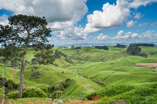 The Hills famous for the area where the hobbit and Lord of the Rings are shot